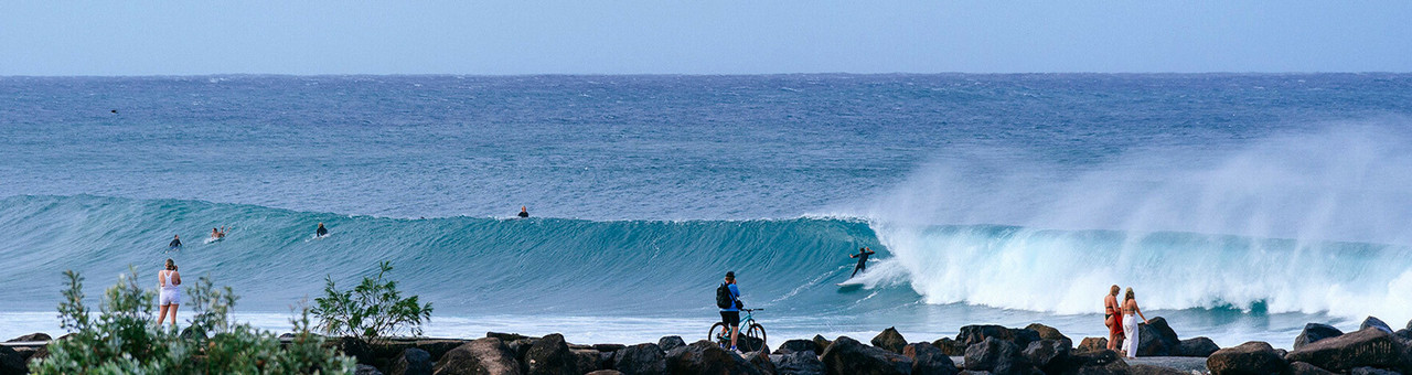 Medium Large Tri Quad Fins